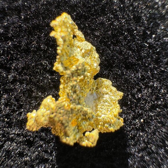 California Native Gold Crystal -  1.16 grams - Picture 3 of 4